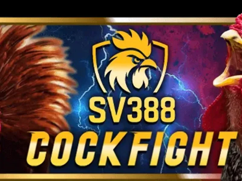 Cá cược Đá gà S66